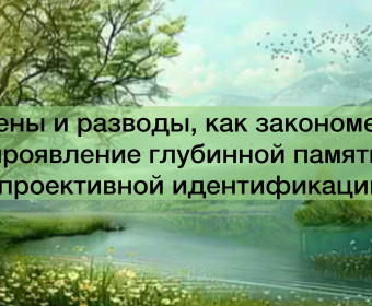 Измены и разводы, как закономерное проявление глубинной памяти и проективной идентификации